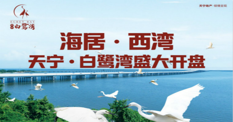 廣西防城港｜天寧白鷺灣火爆線(xiàn)上開(kāi)盤(pán)